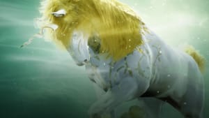 Black Desert Online named in world’s top 5 open-world RPGs