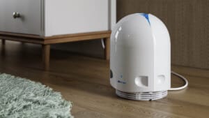 Top 6 reasons why Airfree air sterilisers might be what you need this Lunar New Year Top 6 reasons why Airfree air sterilisers might be what you need this Lunar New Year