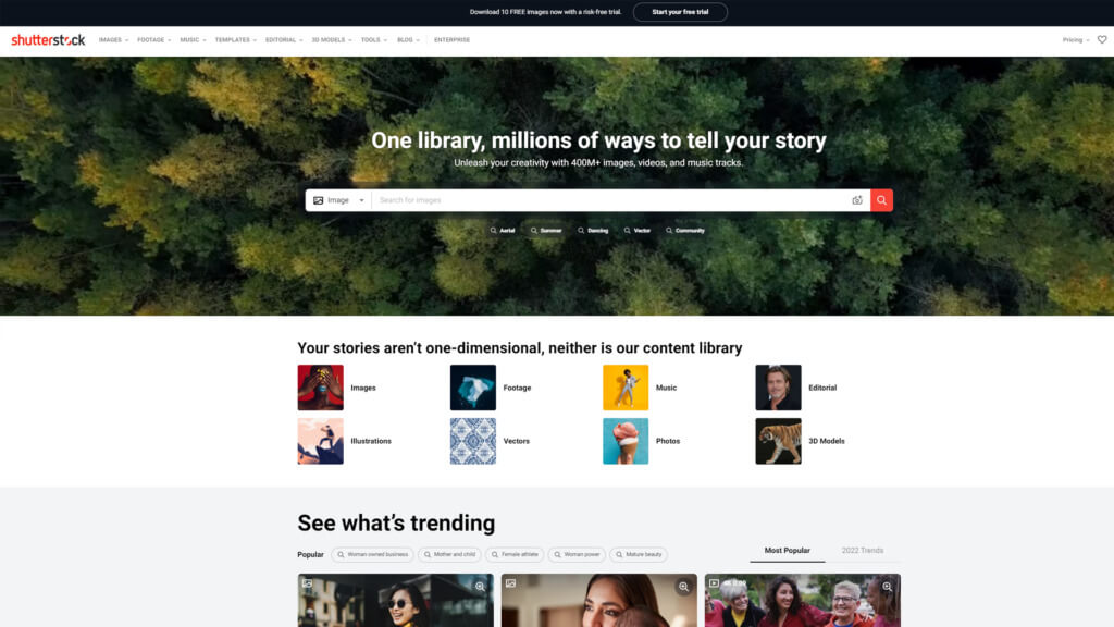 Top 10 stock image websites you need to know in 2022 - 3