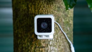 Wyze confronts extensive security breach exposing private camera feeds Wyze confronts extensive security breach exposing private camera feeds