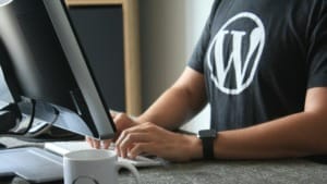 WordPress 6.5 launch postponed due to new feature bugs WordPress 6.5 launch postponed due to new feature bugs