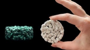 Mushroom Material raises over US$5 million for eco-friendly Styrofoam alternative Mushroom Material raises over US$5 million for eco-friendly Styrofoam alternative