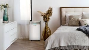 Sterra launches dehumidifiers to improve home comfort and air quality Sterra launches dehumidifiers to improve home comfort and air quality