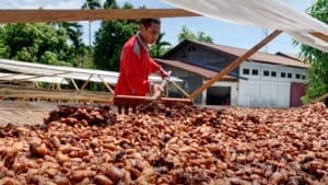 Koltiva brings stakeholders together to address EU deforestation regulation and sustainability challenges Koltiva brings stakeholders together to address EU deforestation regulation and sustainability challenges