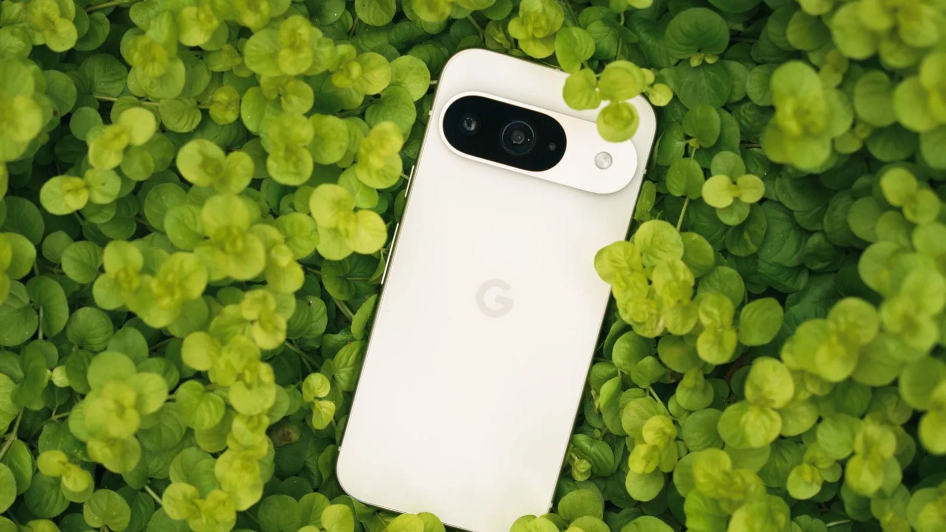 Google Pixel 10 base model features a telephoto camera but with some trade-offs