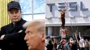 Tesla profits drop sharply as sales weaken and Musk backlash grows Tesla profits drop sharply as sales weaken and Musk backlash grows