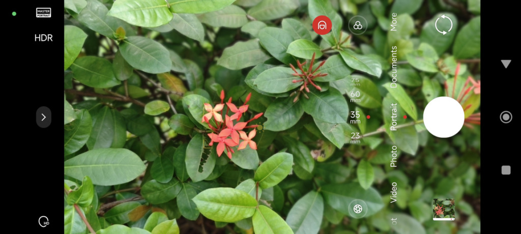 Xiaomi 15 review- The compact powerhouse with Leica optics and AI-enhanced photography - 13