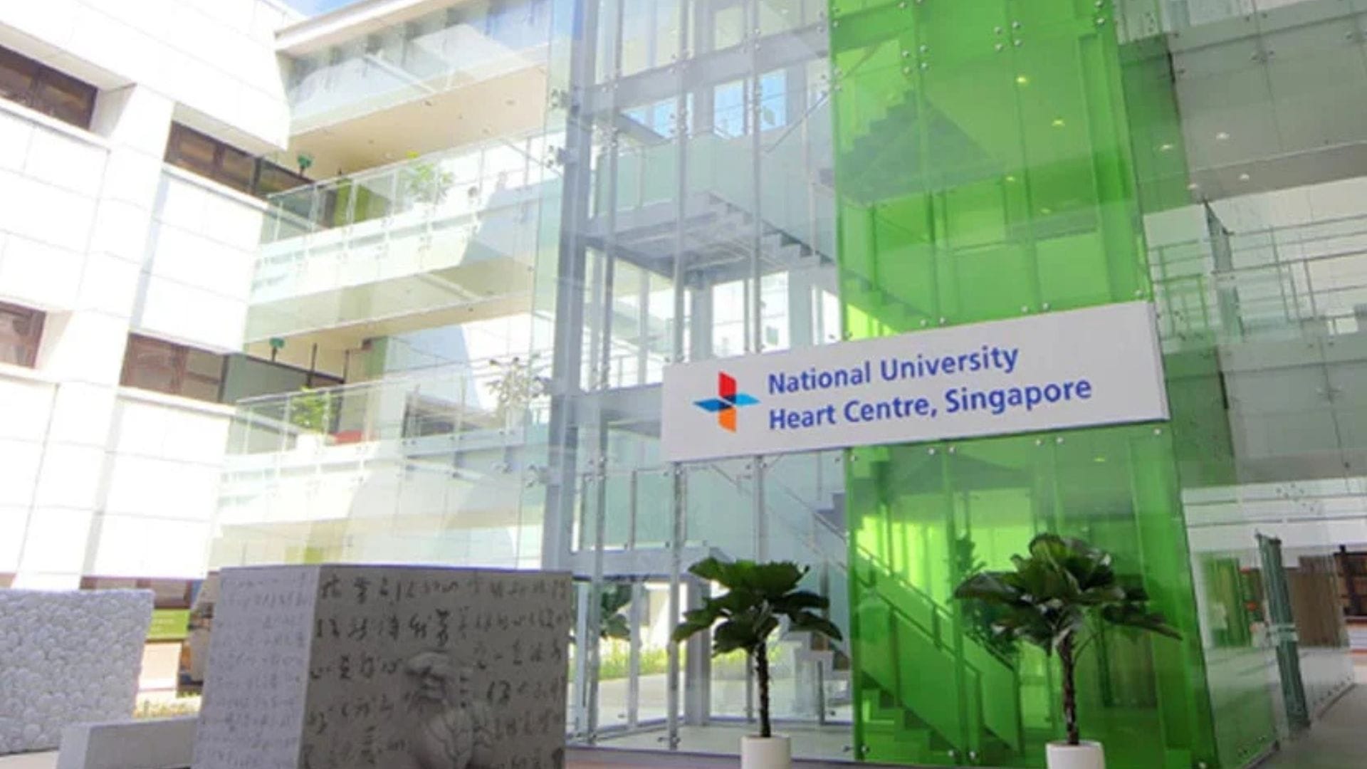 Singapore hospitals to test new AI tool that could speed up heart disease diagnosis