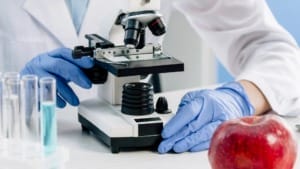 Nourish Ingredients sets up European base to accelerate global growth Nourish Ingredients sets up European base to accelerate global growth