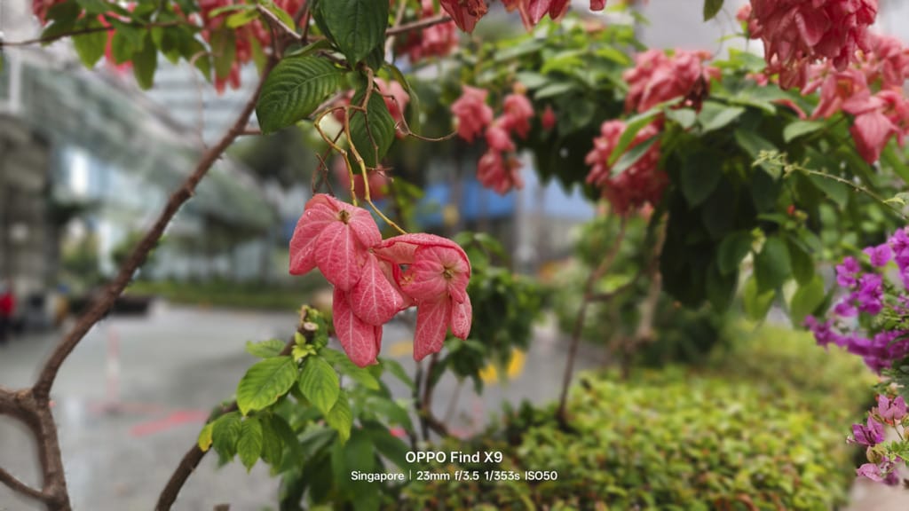 OPPO Find X9 review- A refined flagship focused on detail and everyday experience - 14