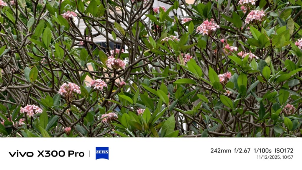 vivo X300 Pro review- A flagship built for serious photography - 18