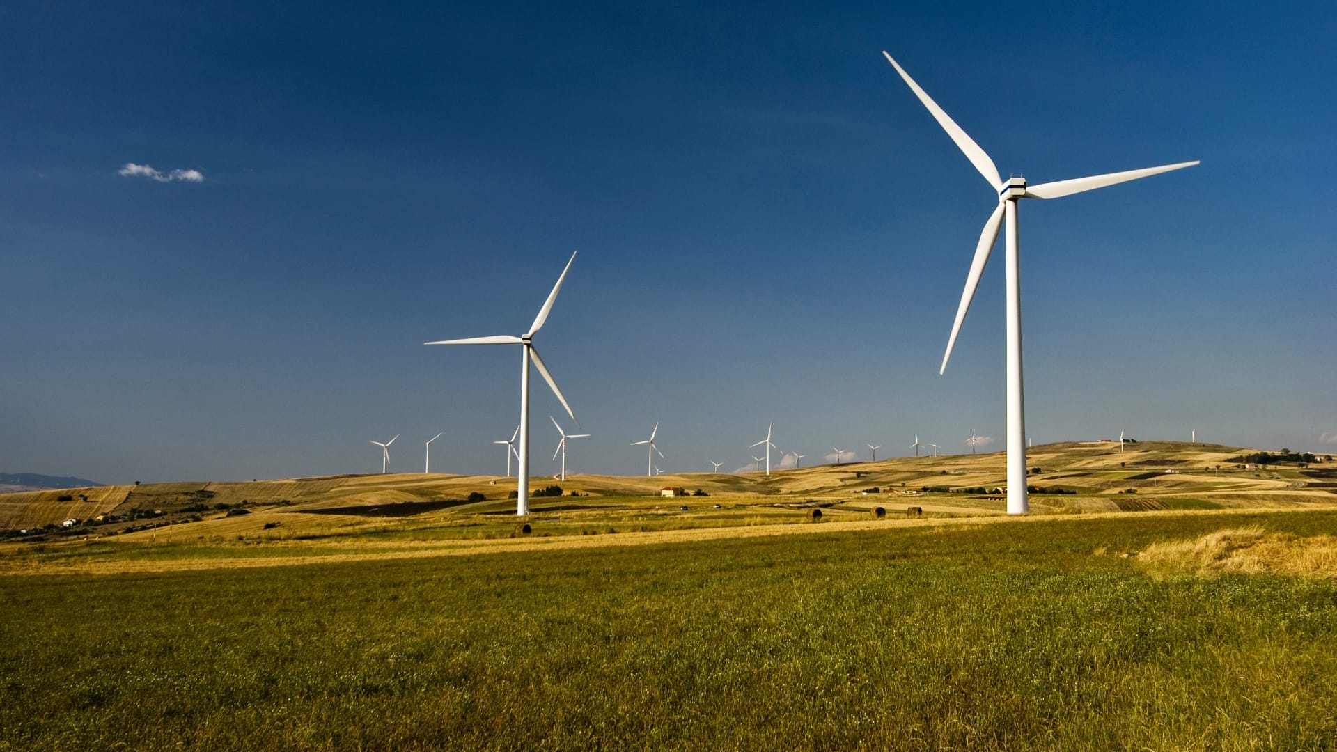 Kyndryl and Microsoft report rising sustainability commitment among Singapore businesses