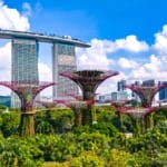 Singapore firms accelerate AI adoption but data and security gaps threaten long-term returns Singapore firms accelerate AI adoption but data and security gaps threaten long-term returns