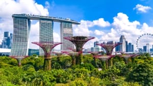 Singapore firms accelerate AI adoption but data and security gaps threaten long-term returns Singapore firms accelerate AI adoption but data and security gaps threaten long-term returns