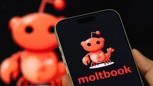 Moltbook exposes user credentials after an AI-built platform flaw Moltbook exposes user credentials after an AI-built platform flaw