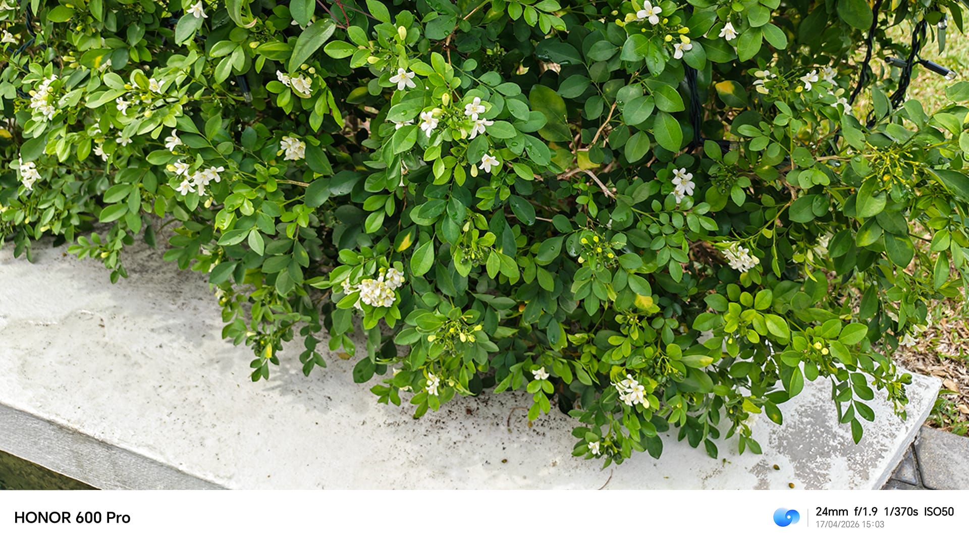 HONOR 600 Pro review- A battery-first flagship with an AI imaging pitch - 12