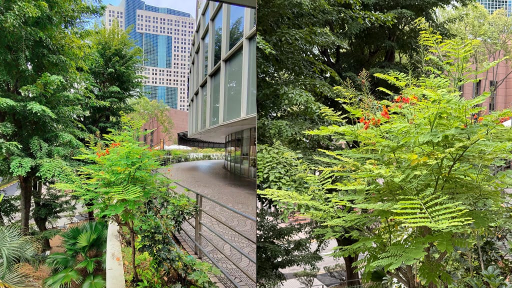 Ray-Ban Meta AI glasses review- Strong audio and camera undermined by unreliable AI - 12