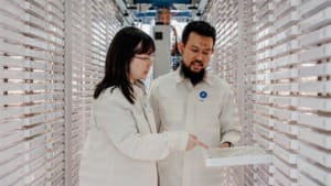 Google turns Singapore into an AI production hub for Wolbachia mosquito control Google turns Singapore into an AI production hub for Wolbachia mosquito control