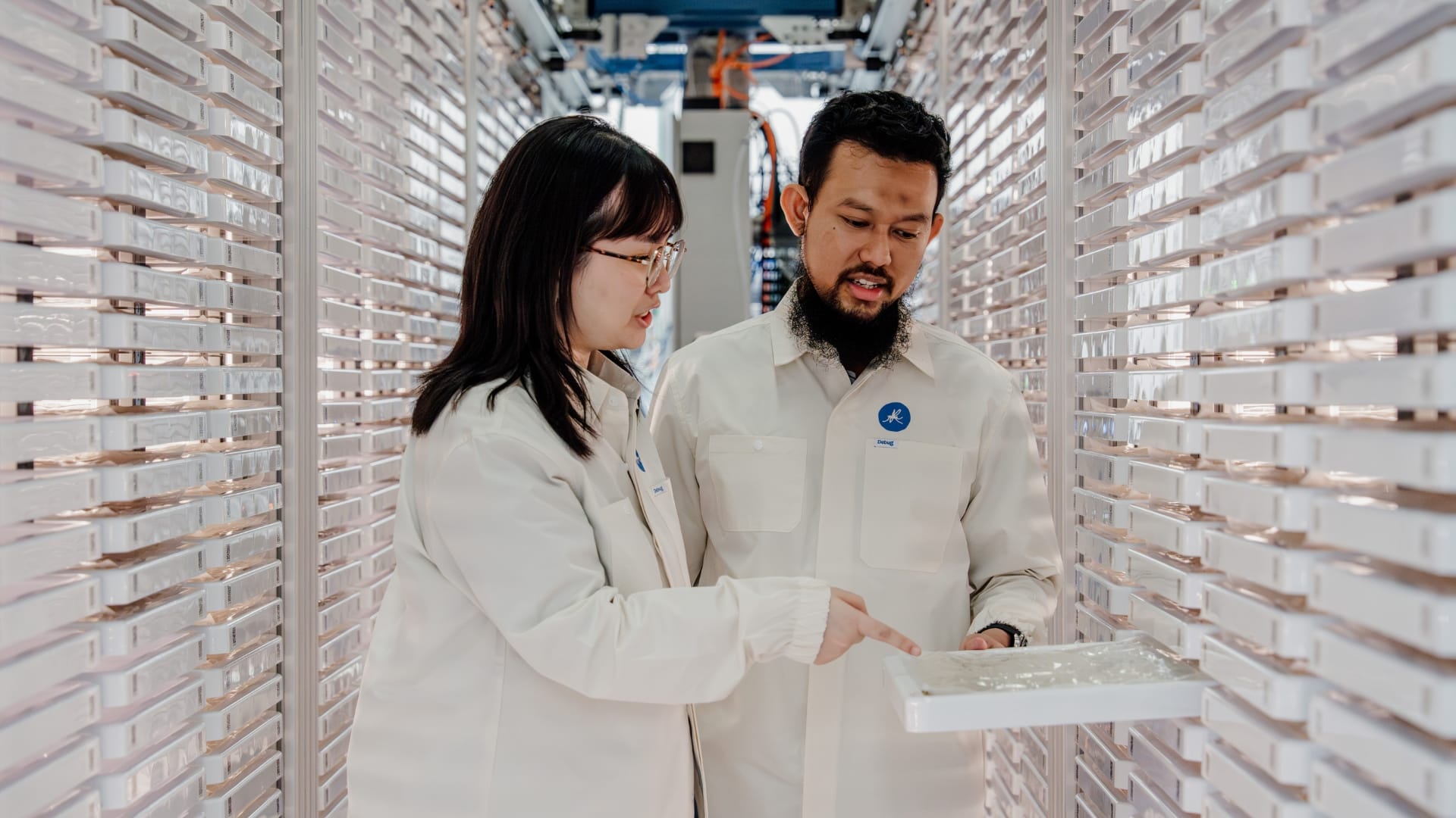 Google turns Singapore into an AI production hub for Wolbachia mosquito control