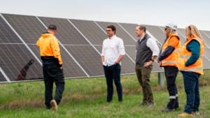 Google, AirTrunk and European Energy Australia prepare Mulwala Solar Farm for the grid Google, AirTrunk and European Energy Australia prepare Mulwala Solar Farm for the grid