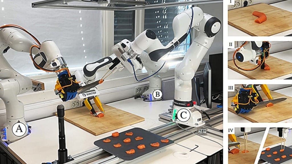 Norwegian researchers have developed a robot that can prepare salmon sashimi without human help Norwegian researchers have developed a robot that can prepare salmon sashimi without human help
