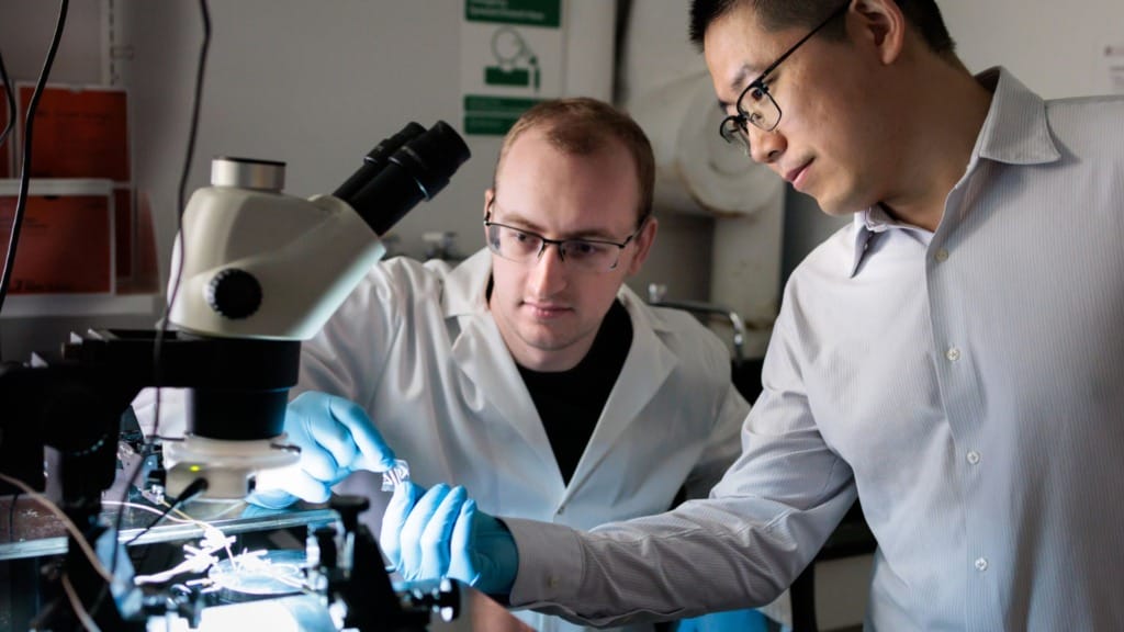 University of Chicago researchers develop AI-powered skin patch for real-time health monitoring University of Chicago researchers develop AI-powered skin patch for real-time health monitoring