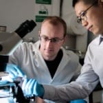 University of Chicago researchers develop AI-powered skin patch for real-time health monitoring University of Chicago researchers develop AI-powered skin patch for real-time health monitoring